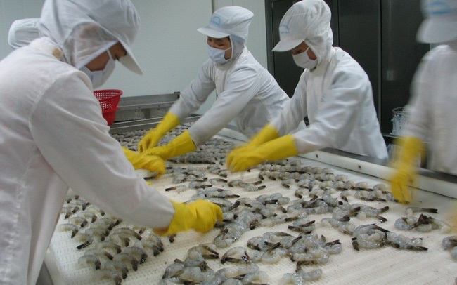 Cần quan tâm hơn xuất khẩu tôm sang thị trường ASEAN