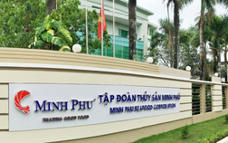 
Minh Phú (MPC): 9 tháng lãi ròng 681 tỷ, tăng 58% so với cùng kỳ