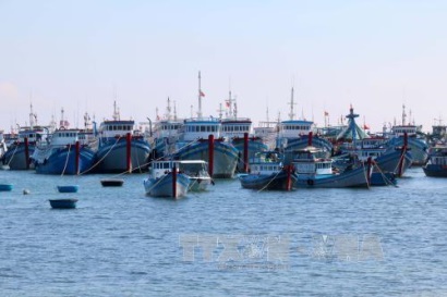 Bình Thuận thực hiện chiến lược quản lý tổng hợp vùng bờ
