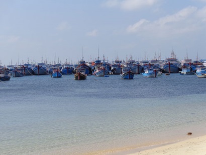 Phú Quý (Bình Thuận): Khai thác, chế biến hải sản đều tăng