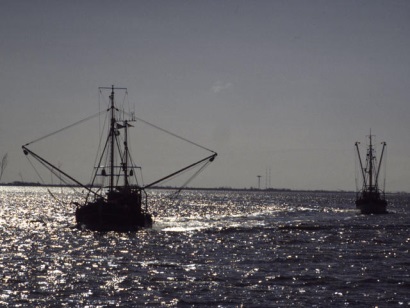 Đánh bắt bất hợp pháp gây nguy hiểm cho hệ sinh thái và an ninh lương thực