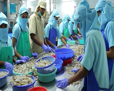 Ấn Độ: Bang Andhra Pradesh đề xuất giá tôm tối thiểu để bảo vệ người nuôi