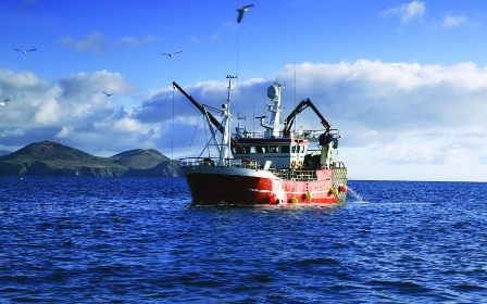 EU, Na Uy cắt giảm 50% hạn ngạch khai thác cá tuyết Biển Bắc 