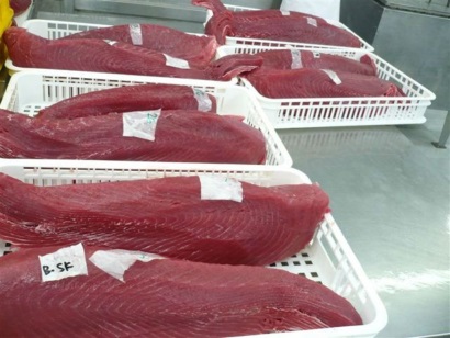 Thái Lan mất thị phần thăn/philê cá ngừ hấp chín tại Mỹ vào tay Trung Quốc, Mauritius