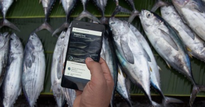 Blockchain giúp tăng cường khả năng truy xuất nguồn gốc cá ngừ