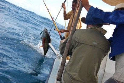 Kenya hiện đại hóa nghề cá ngừ đại dương