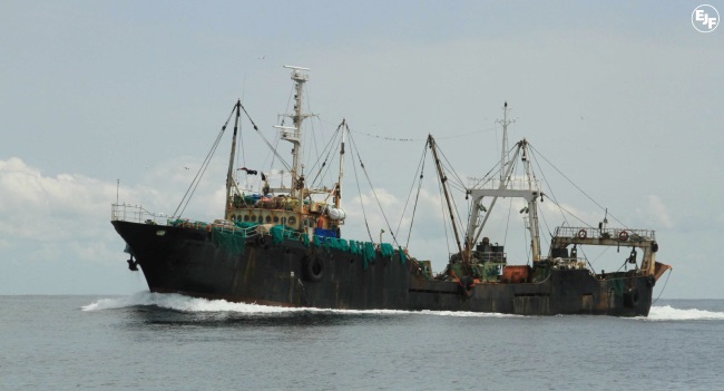 WWF: EU cần làm tốt hơn để ngăn chặn khai thác bất hợp pháp