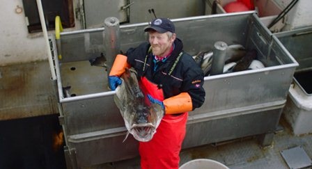 ICES nâng sản lượng khai thác cá tuyết lên 20%, cá haddock 8%