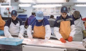 Nga: Giá cá minh thái H&G cao kỷ lục 10 năm