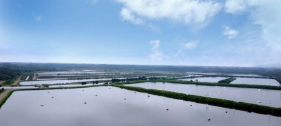 Ecuador: Các trại nuôi được đầu tư hệ thống lưới điện mới