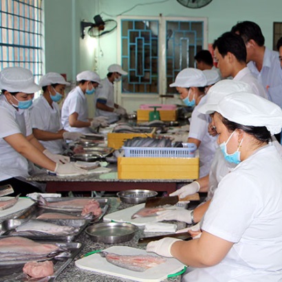 Giá cá thát lát giảm hơn 5.000 đồng/kg