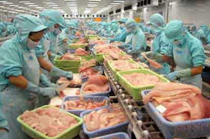 Ấn Độ: Xuất khẩu thủy sản sẽ chững lại trong những tháng tới