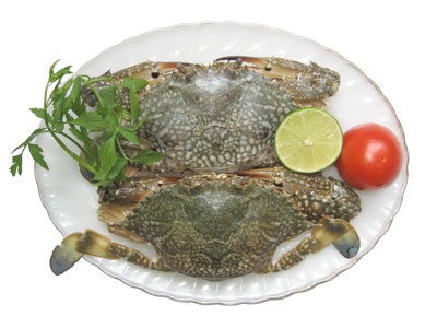 
SEAPRIEXCO No4: Lợi nhuận sau thuế quý 4/2018 tăng 168,9%