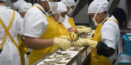 Ecuador, Trung Quốc ký thỏa thuận về an toàn sinh học trong nuôi tôm 