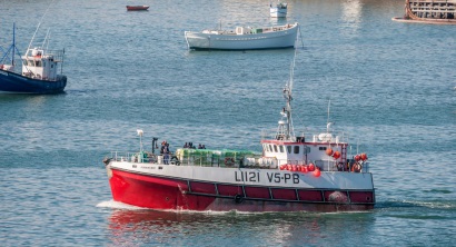 Nam Phi gia nhập lực lượng chống khai thác IUU cùng với Namibia