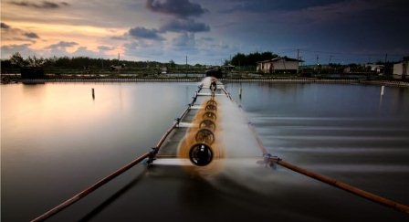 Indonesia: Mục tiêu tăng trưởng xuất khẩu tôm 250% năm 2024