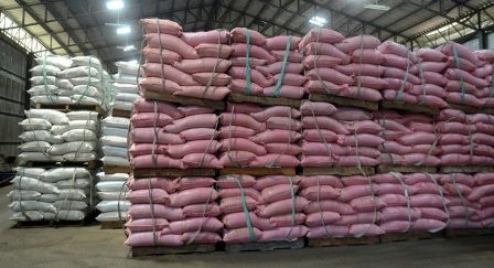 Trung Quốc miễn thuế bột cá, tôm giống bố mẹ của Mỹ