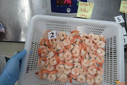 Giá tôm bỏ đầu của Ấn Độ xuất sang Trung Quốc tăng