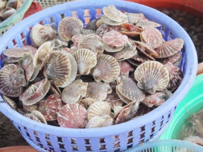 Mỹ: Dù sản lượng sò điệp dự kiến tăng, tỷ giá có thể ảnh hưởng đến nguồn cung 