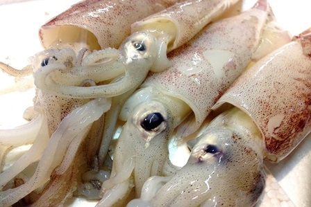 Thị trường mực ống toàn cầu sẽ đạt hơn 11,6 tỷ USD vào năm 2025