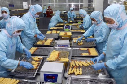 12/7/2018 - [HCM] Hội thảo Quy định GSP về tự chứng nhận xuất xứ đối với hàng thủy sản XK đi châu Âu.