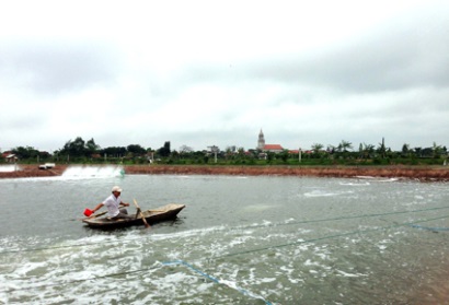 Ninh Bình: Nông dân Kim Sơn xuống giống tôm vụ 1 trong điều kiện thuận lợi
