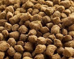 FDA chấp thuận sử dụng taurine trong thức ăn thủy sản