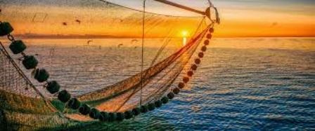 Argentina: Sản lượng khai thác và xuất khẩu thủy sản năm 2019 giảm