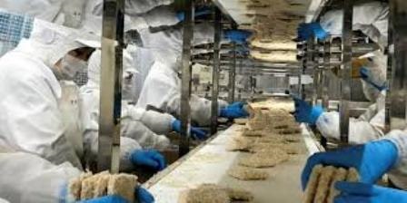 Công ty Trident xây dựng mới nhà máy surimi tại Nhật Bản 