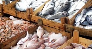 NOAA: Quy định cuối cùng của Chương trình Giám sát Nhập khẩu Thủy sản