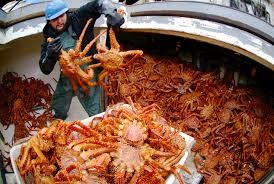 Các nhà khai thác cua Alaska sử dụng hết hạn ngạch trong 3 tuần