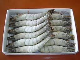 Hàn Quốc sửa đổi một số quy định Luật quản lý dịch bệnh thủy sản