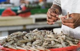 Ấn Độ: Xuất khẩu tôm đạt 4,8 tỷ USD trong năm tài chính 2018