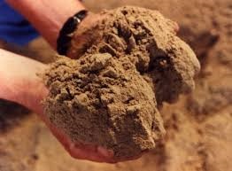 Giá bột cá tại Peru ổn định