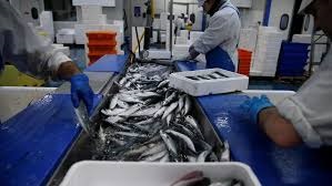 Ngành thủy sản EU yêu cầu 