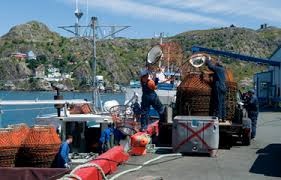 Canada: Ngư trường khai thác cua tại N.L. lùi ngày mở cửa