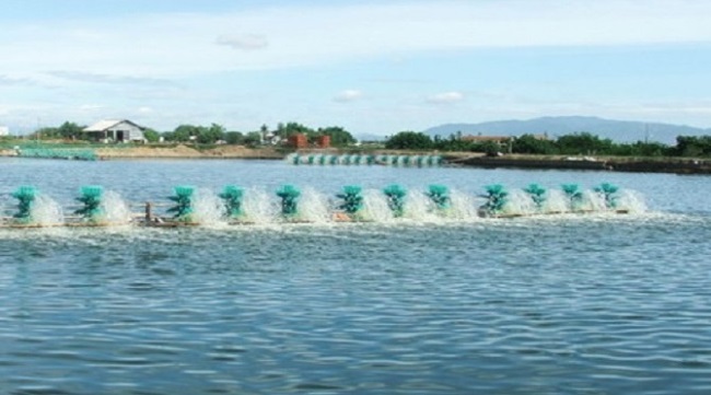 Ấn Độ và Ecuador: Khi Covid-19 còn phức tạp thì sản xuất còn gặp khó khăn