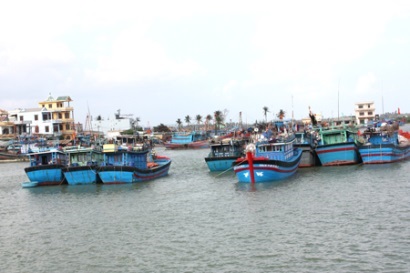 Quảng Nam: Khai thác thủy sản 3 tháng đầu năm đạt 12.853 tấn 