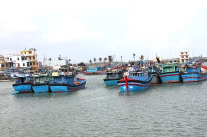 Bình Thuận: Luỹ kế 4 tháng, sản lượng thuỷ sản khai thác đạt 48.458 tấn