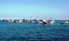 Sản lượng cá ngừ trong 9 tháng đầu năm 2016 đạt 14 nghìn tấn 