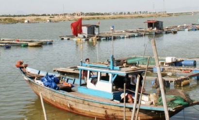 Hải sản khai thác bất hợp pháp sẽ không được thu mua