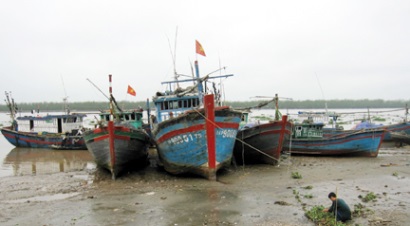 Báo chí châu Âu đánh giá cao chuyển biến của ngành ngư nghiệp Việt Nam