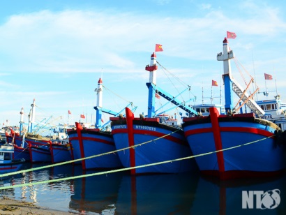 Ninh Thuận: Tín hiệu vui từ khai thác thủy sản