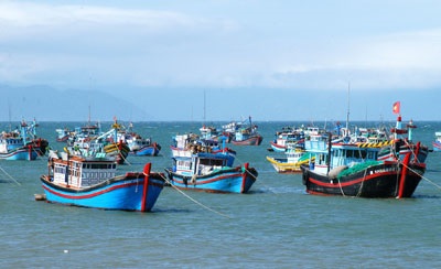Khánh Hòa: Sản lượng thủy sản khai thác đạt hơn 9.246 tấn