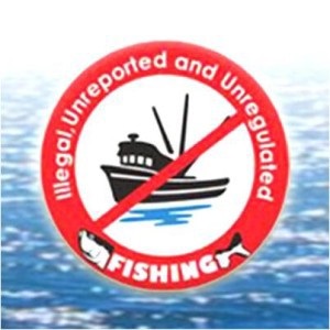 VASEP đề xuất các hoạt động khắc phục thẻ vàng IUU trong tháng 2 và 3/2018