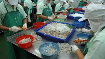 Thái Lan: Giá tôm tăng do nguồn cung giảm 	