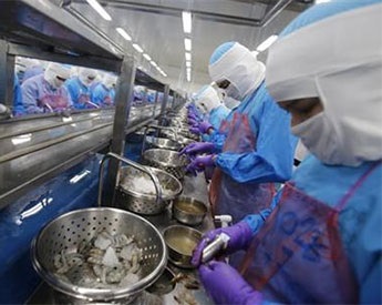 AP: Thai Union tích cực cải thiện điều kiện lao động cho công nhân