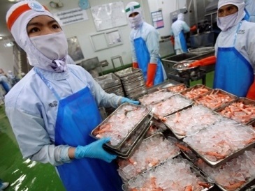 Xuất khẩu tôm Thái Lan sang Mỹ và EU giảm