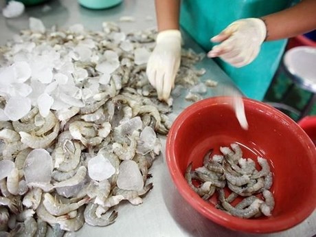 Thái Lan: Xuất khẩu tôm dự kiến tăng năm 2020