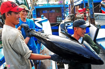 Bà Rịa - Vũng Tàu: Cấp bách khắc phục cảnh báo "thẻ vàng EU"